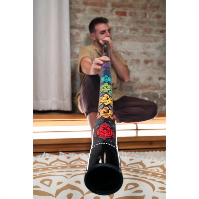 Meinl Sonic Energy Chakra Didgeridoo