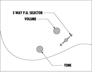 Ibanez RG7421-WNF - Aron Soitin