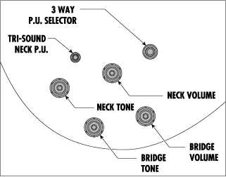 Ibanez JSM20-BKL - Aron Soitin