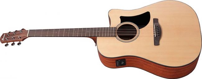 Ibanez AAD50CE-LG - Aron Soitin