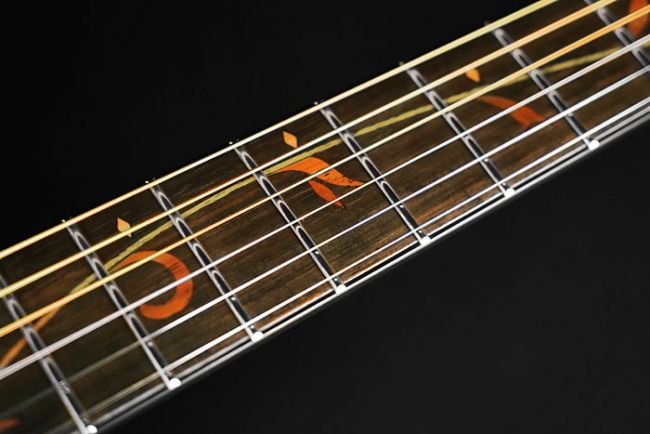 Ibanez AE295-LGS - Aron Soitin