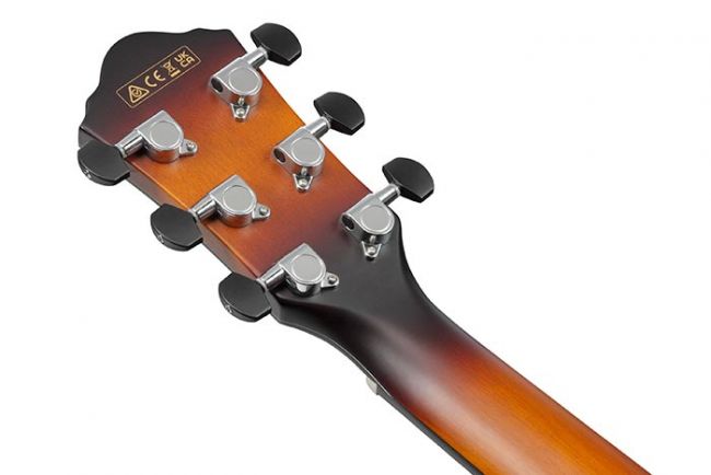 Ibanez AEWC400-AMS - Aron Soitin
