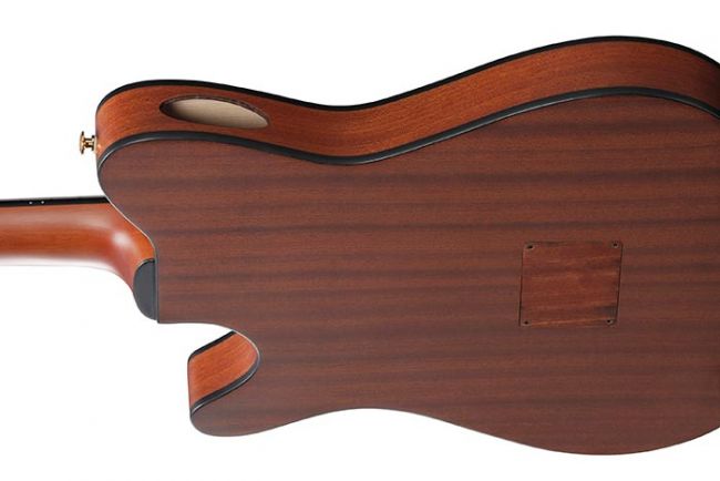 Ibanez FRH10N-NTF Nylon String Acoustic Guitar - Aron Soitin