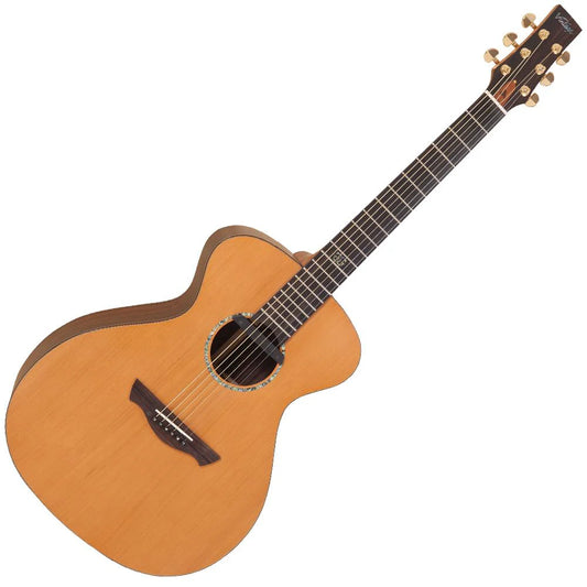 Vintage Gordon Giltrap Signature Deluxe Electro-Acoustic Guitar - Aron Soitin