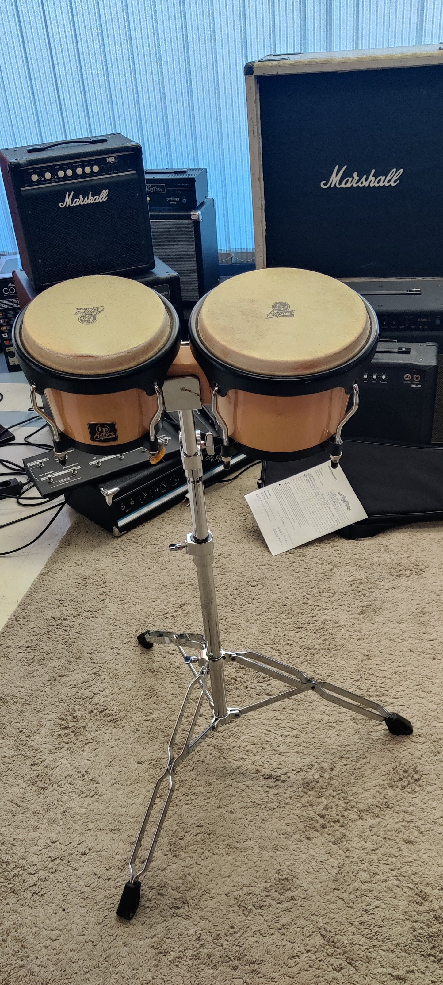 LP bongorummut (used)