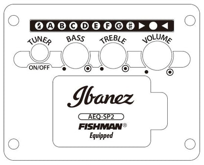 Ibanez AEWC400-TKS - Aron Soitin