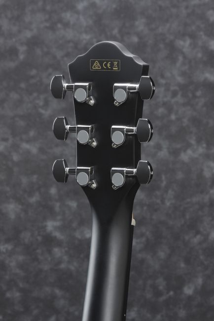 Ibanez AEG50-BK - Aron Soitin