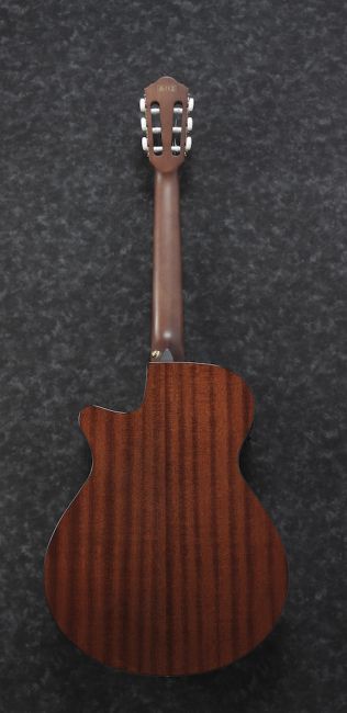 Ibanez AEG50N-BKH nylon string - Aron Soitin