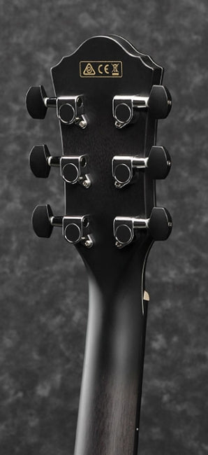 Ibanez AEWC400-TKS - Aron Soitin