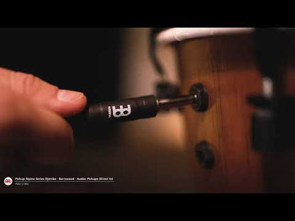 Meinl 12" Alpine Djembe Barnwood mikrofonilla