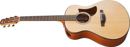 Ibanez AAM50-OPN Advanced Auditorium - Aron Soitin