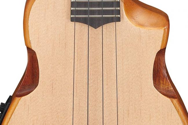 Ibanez  AUC14-OVL ukulele pussila