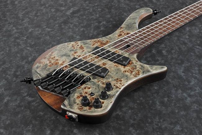 Ibanez EHB1505MS-BIF Bass Workshop - Aron Soitin