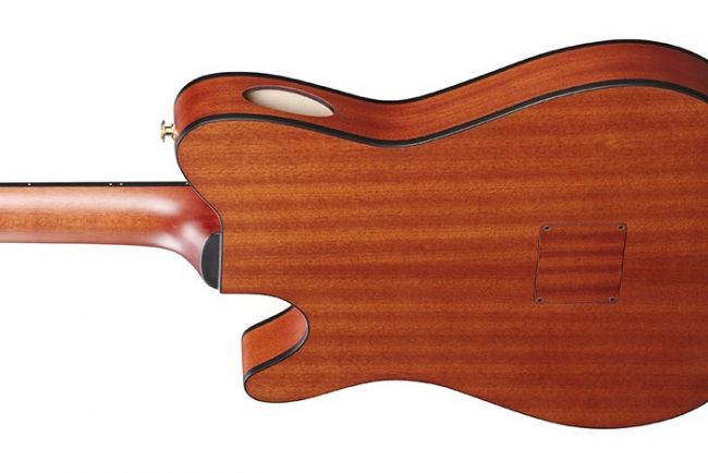 Ibanez FRH10N-RGF nylon string guitar - Aron Soitin