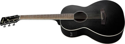 Ibanez PN14MHE-WK - Aron Soitin
