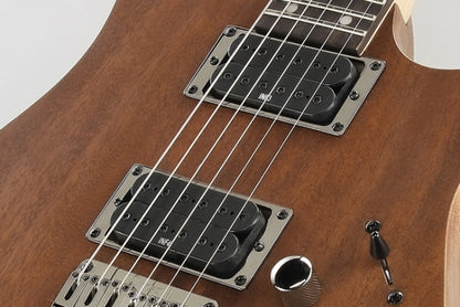 Ibanez RG421MOL - Aron Soitin
