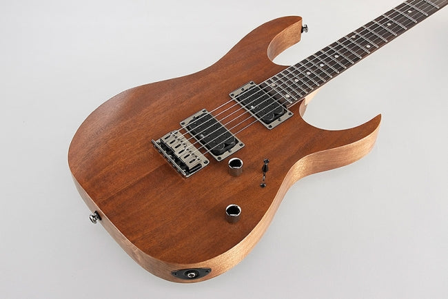 Ibanez RG421MOL - Aron Soitin